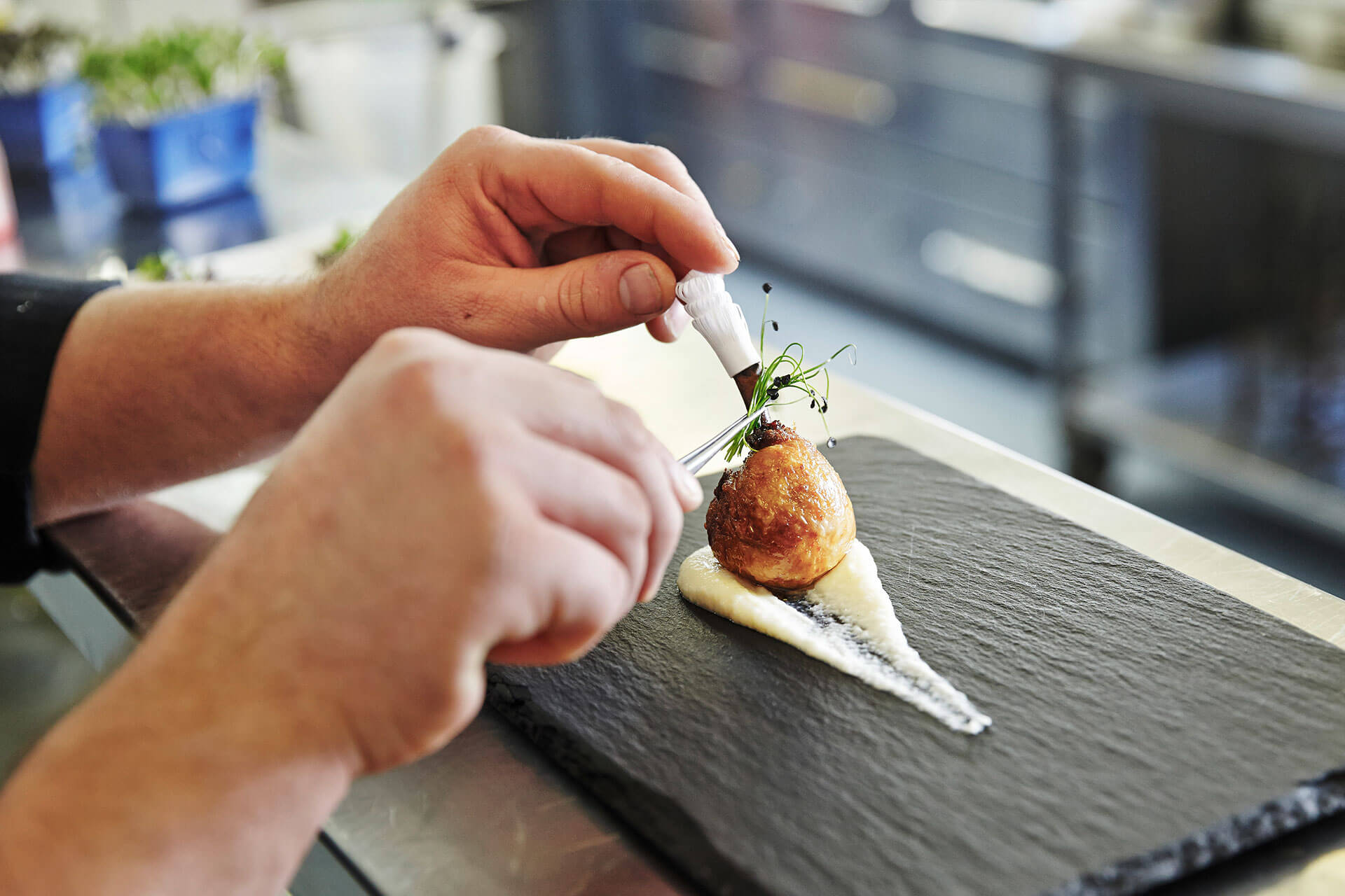 food_11