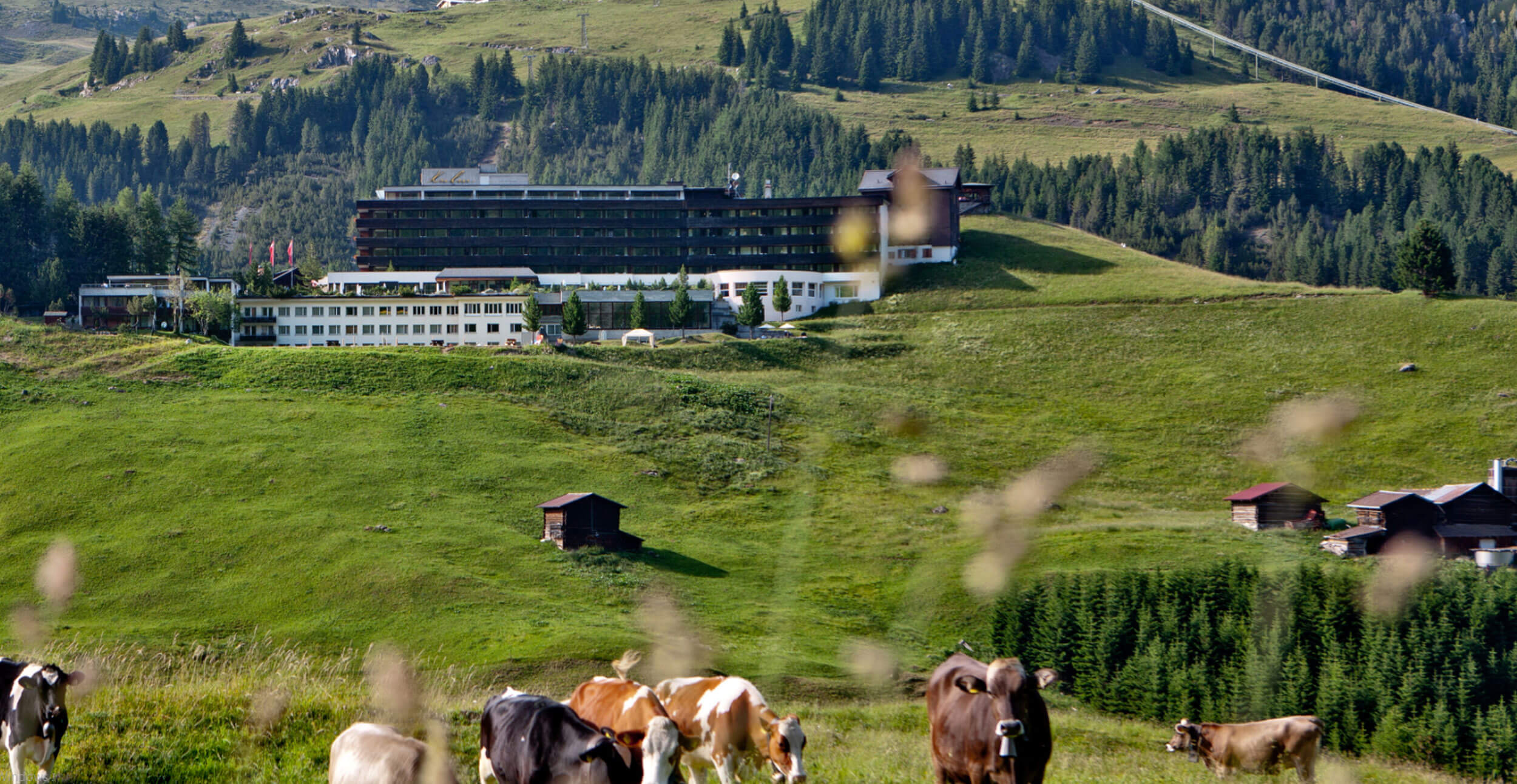 arosa_kulm_7