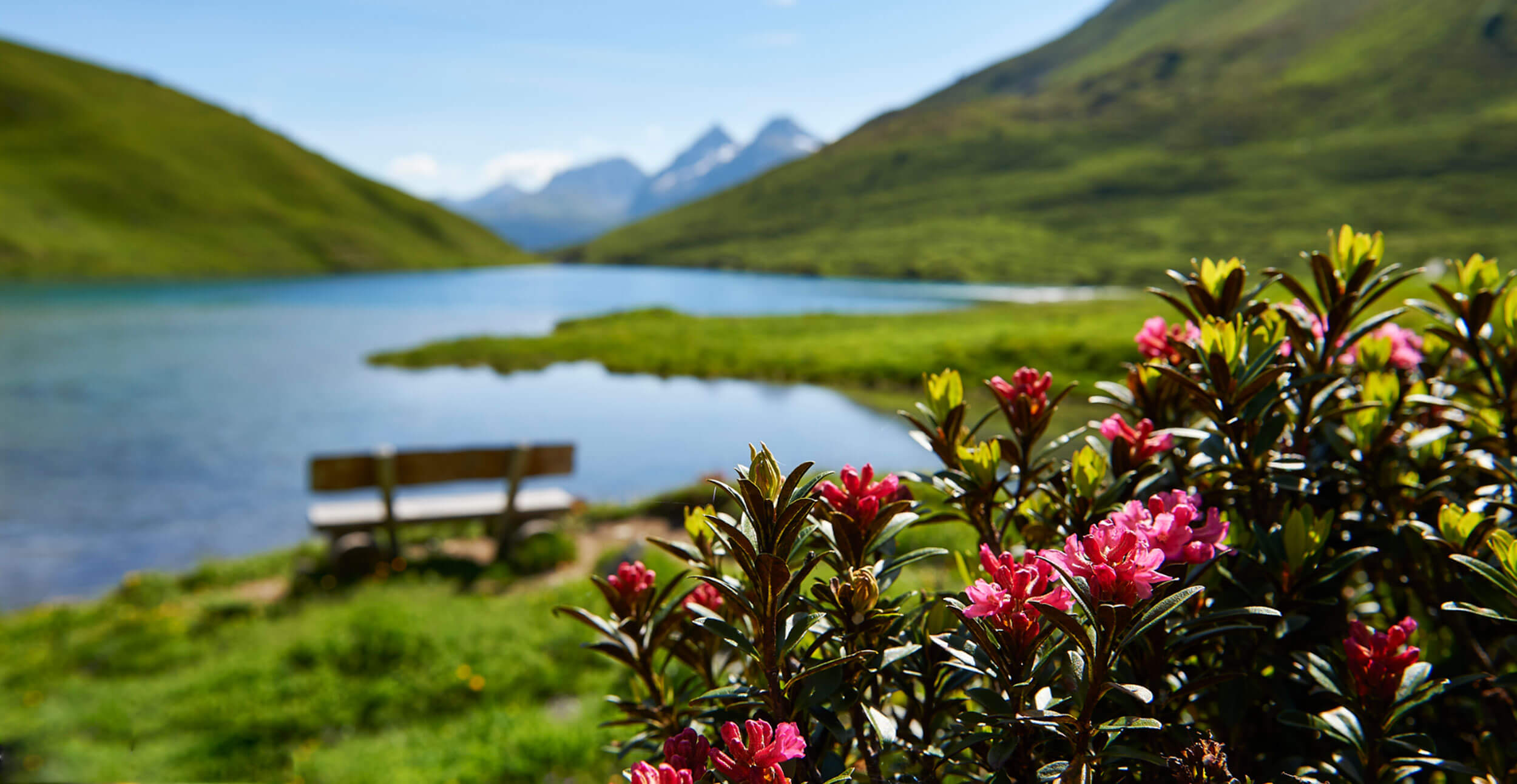 arosa_kulm_9
